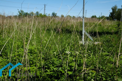 Działka  - Pawłowice   -
śląskie Zdjęcie nr 7