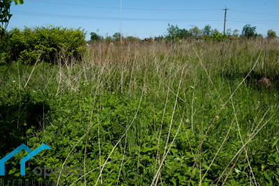 Działka  - Pawłowice   -
śląskie Zdjęcie nr 8