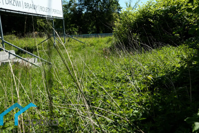 Działka  - Pawłowice   -
śląskie Zdjęcie nr 9