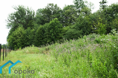 Działka przemysłowo - usługowa wraz z pozwoleniem na budowę hali o pow 1200 m - Goleszów   -
śląskie Zdjęcie nr 10