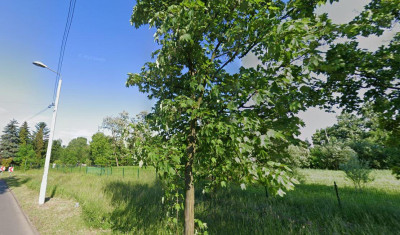 Działka produkcyjna Zabrze - Zabrze  -
śląskie Zdjęcie nr 7