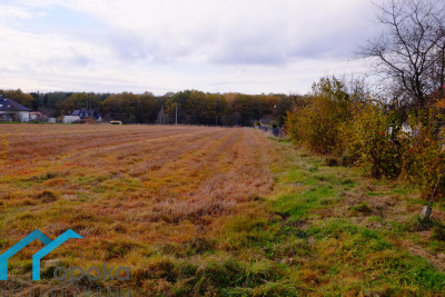 Działka w Górkach Wielkich - Górki Wielkie   - śląskie