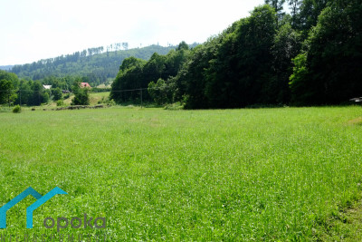 Działka w Górach - Brenna   -
śląskie Zdjęcie nr 14