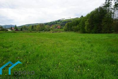 Działka w Górach - Brenna   -
śląskie Zdjęcie nr 4