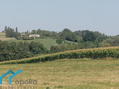 Działka przemysłowa - Łączka   -
śląskie Zdjęcie nr 11