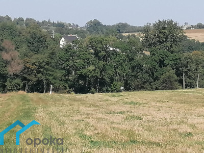 Działka przemysłowa - Łączka   -
śląskie Zdjęcie nr 12