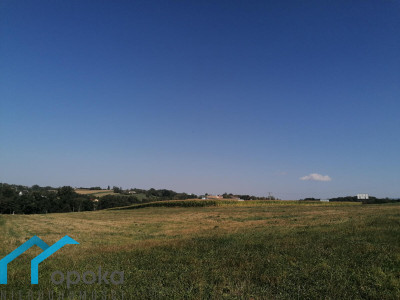 Działka przemysłowa - Łączka   -
śląskie Zdjęcie nr 4