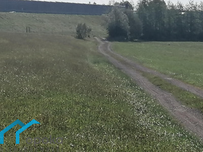 Działka rolna koło Cieszyna - Łączka   -
śląskie Zdjęcie nr 5