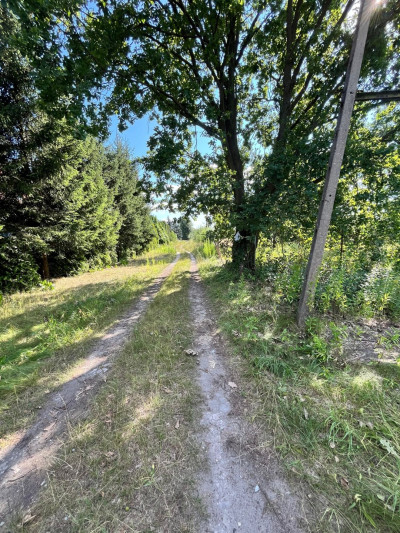 Warszawa Ursynów Jeziorki blisko ulPuławskiej - Ursynów Jeziorki  -
mazowieckie Zdjęcie nr 2