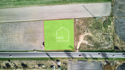 Atrakcyjny grunt komercyjny przy DW 901 - Pyskowice  -
ŚLĄSKIE Zdjęcie nr 5