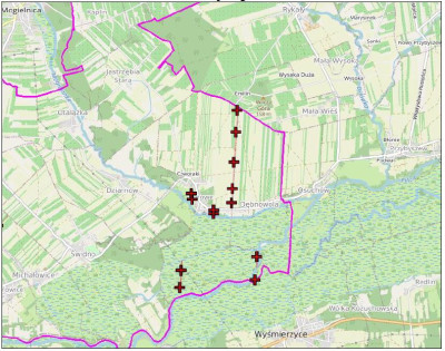 Kompleks działek z budynkiem mieszkalnym i zabudowaniami gospodarczymi - Borowe  - mazowieckie