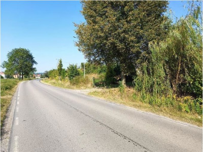 Udział 12 w działce rolnej zabudowanej budynkiem gospodarczym - Wólka Wieprzecka  -
lubelskie Zdjęcie nr 10