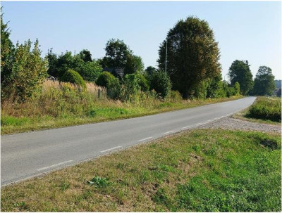 Udział 12 w działce rolnej zabudowanej budynkiem gospodarczym - Wólka Wieprzecka  -
lubelskie Zdjęcie nr 11