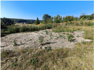 Udział 12 w działce rolnej zabudowanej budynkiem gospodarczym - Wólka Wieprzecka  -
lubelskie Zdjęcie nr 6