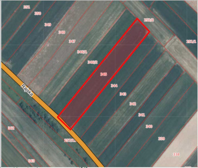 Syndyk sprzeda dwie działki rolne za 50 ceny - Biały Kościół  -
małopolskie Zdjęcie nr 5
