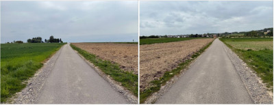 Syndyk sprzeda dwie działki rolne za 50 ceny - Biały Kościół  -
małopolskie Zdjęcie nr 7