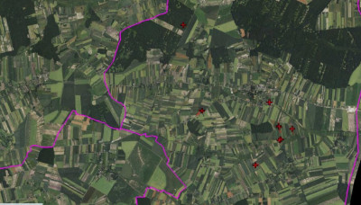 Syndyk sprzeda kompleks działek rolne las łąka - Dołhobyczów  - lubelskie