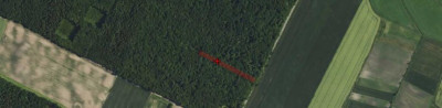 Syndyk sprzeda udział 12 w działce leśnej - Witków  -
lubelskie Zdjęcie nr 2