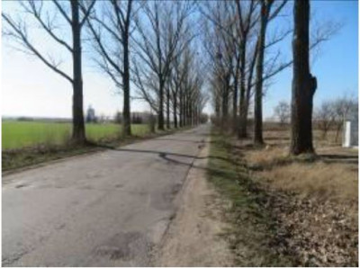 Syndyk sprzeda działkę pod inwestycje - Duszniki  -
wielkopolskie Zdjęcie nr 6