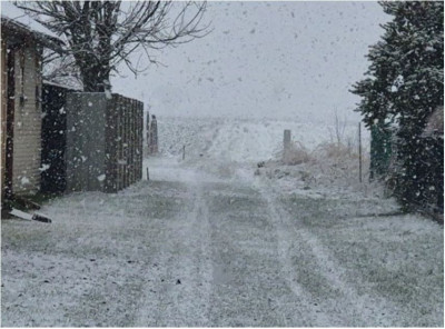 Działka stanowiąca drogę   udział 12 - Nowiny  -
lubelskie Zdjęcie nr 6