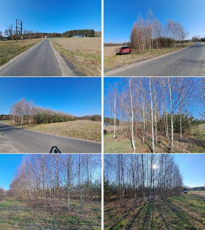 Syndyk sprzeda kompleks niezabudowanych działek NIŻSZA CENA - Mursk  -
kujawsko-pomorskie Zdjęcie nr 9