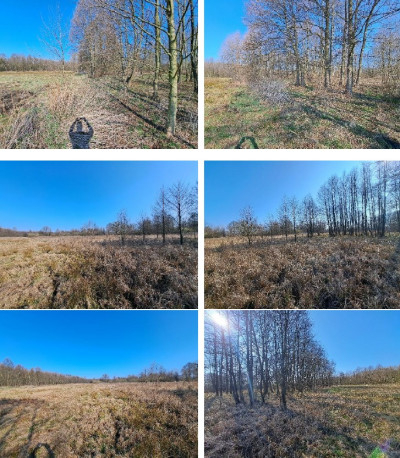 Syndyk sprzeda kompleks niezabudowanych działek NIŻSZA CENA - Mursk  -
kujawsko-pomorskie Zdjęcie nr 12
