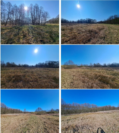 Syndyk sprzeda kompleks niezabudowanych działek NIŻSZA CENA - Mursk  -
kujawsko-pomorskie Zdjęcie nr 13