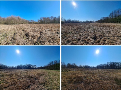 Syndyk sprzeda kompleks niezabudowanych działek NIŻSZA CENA - Mursk  -
kujawsko-pomorskie Zdjęcie nr 4