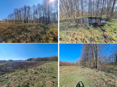 Syndyk sprzeda kompleks niezabudowanych działek NIŻSZA CENA - Mursk  -
kujawsko-pomorskie Zdjęcie nr 7