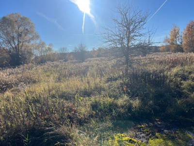 Syndyk sprzeda udział 12 w kompleksie działek przemysłowych - Chojna  -
zachodniopomorskie Zdjęcie nr 11