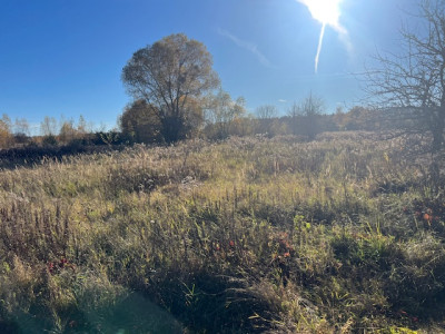 Syndyk sprzeda udział 12 w kompleksie działek przemysłowych - Chojna  -
zachodniopomorskie Zdjęcie nr 12