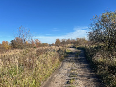 Syndyk sprzeda udział 12 w kompleksie działek przemysłowych - Chojna  -
zachodniopomorskie Zdjęcie nr 4