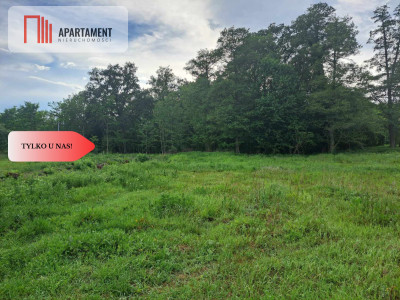 Działka z widokim na las 35 km od Wrocławia - powiat wołowski  -
Dolnośląskie Zdjęcie nr 3