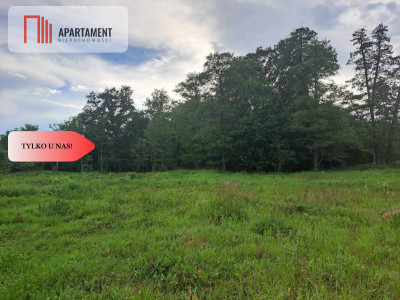 Działka z widokim na las 35 km od Wrocławia - powiat wołowski  -
Dolnośląskie Zdjęcie nr 4