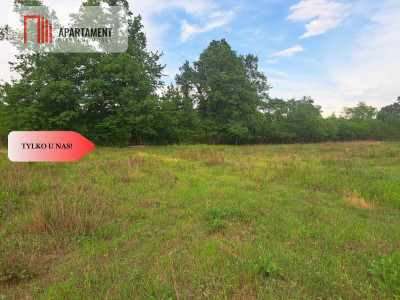 Działka z widokim na las 35 km od Wrocławia - powiat wołowski  -
Dolnośląskie Zdjęcie nr 5