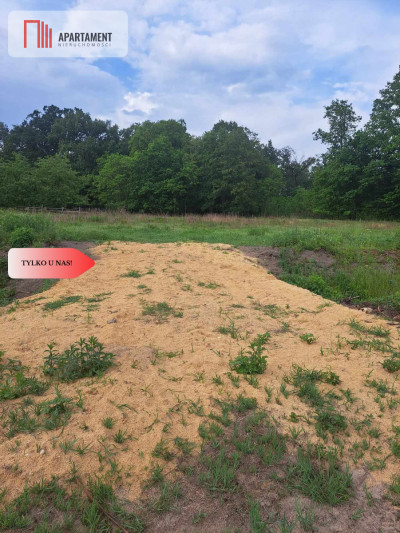 Działka z widokim na las 35 km od Wrocławia - powiat wołowski  -
Dolnośląskie Zdjęcie nr 7