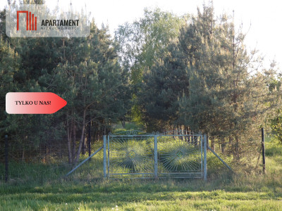 Działka nad jeziorem Zioło - Tylko u nas - Rogowo  -
Kujawsko-Pomorskie Zdjęcie nr 12