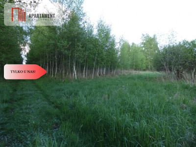 Działka nad jeziorem Zioło - Tylko u nas - Rogowo  -
Kujawsko-Pomorskie Zdjęcie nr 13