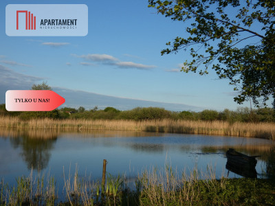 Działka nad jeziorem Zioło - Tylko u nas - Rogowo  -
Kujawsko-Pomorskie Zdjęcie nr 5