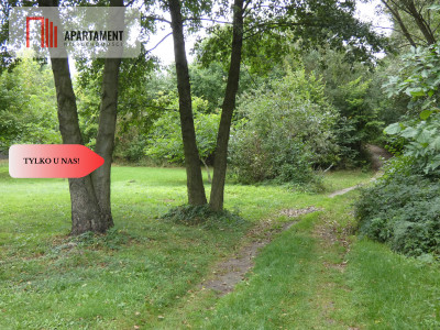 Działka z linią brzegową nad jeziorem Ostrowickim - Gaj  -
Wielkopolskie Zdjęcie nr 8