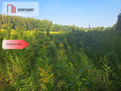 Działka 10 ar budowlana przy ścianie lasu - Klęka  -
Dolnośląskie Zdjęcie nr 11