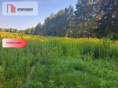 Działka 10 ar budowlana przy ścianie lasu - Klęka  - Dolnośląskie