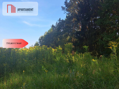 Działka 10 ar budowlana przy ścianie lasu - Klęka  -
Dolnośląskie Zdjęcie nr 7