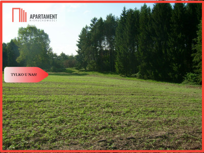 Atrakcyjna działka przy lesie - powiat sępoleński  - Kujawsko-Pomorskie