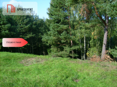 Atrakcyjna działka przy lesie - powiat sępoleński  -
Kujawsko-Pomorskie Zdjęcie nr 3