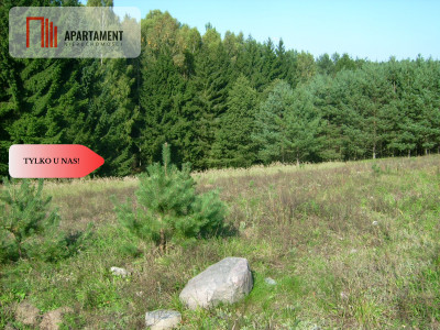 Atrakcyjna działka przy lesie - powiat sępoleński  -
Kujawsko-Pomorskie Zdjęcie nr 4