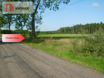 Atrakcyjna działka przy lesie - powiat sępoleński  -
Kujawsko-Pomorskie Zdjęcie nr 6