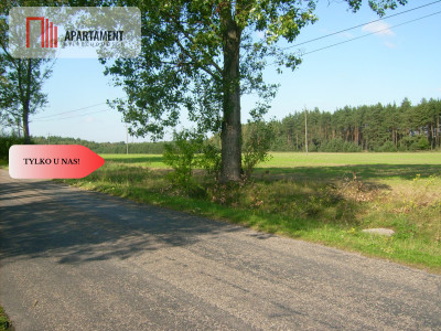 Atrakcyjna działka przy lesie - powiat sępoleński  -
Kujawsko-Pomorskie Zdjęcie nr 7