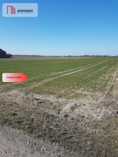 Tylko u Nas Działka w gm Dobrcz - Trzebień  - Kujawsko-Pomorskie