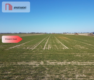 Tylko u Nas Działka w gm Dobrcz - Trzebień  -
Kujawsko-Pomorskie Zdjęcie nr 5